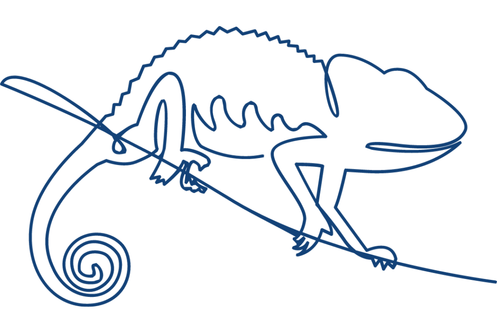 Line drawing chameleon