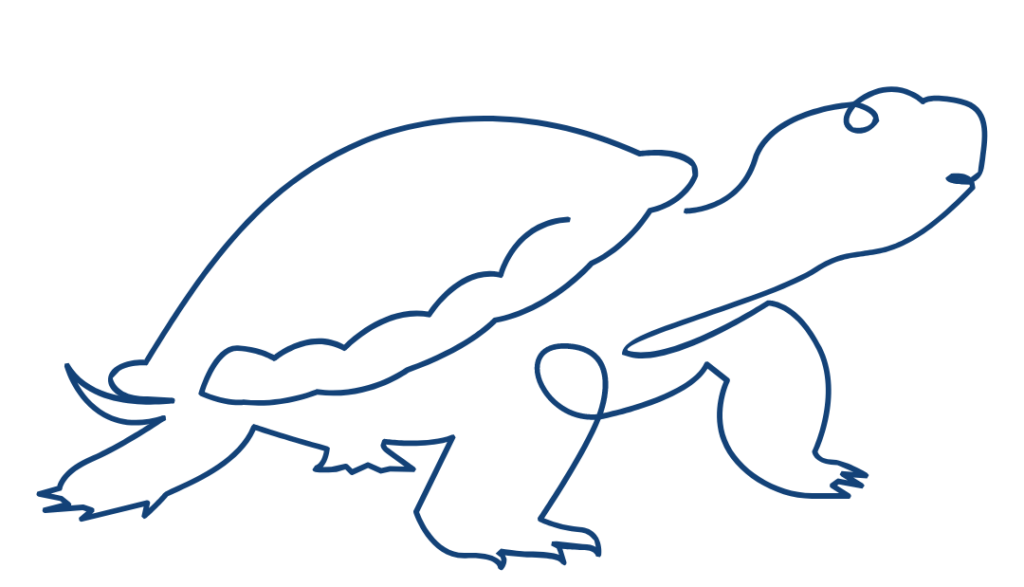 Line drawing of turtle