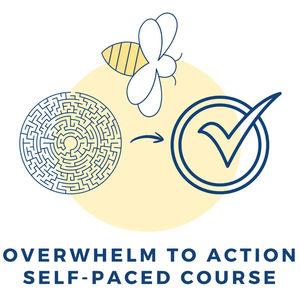 Maze to checkmark with a bee, representing the "Overwhelm to Action Self-Paced Course".