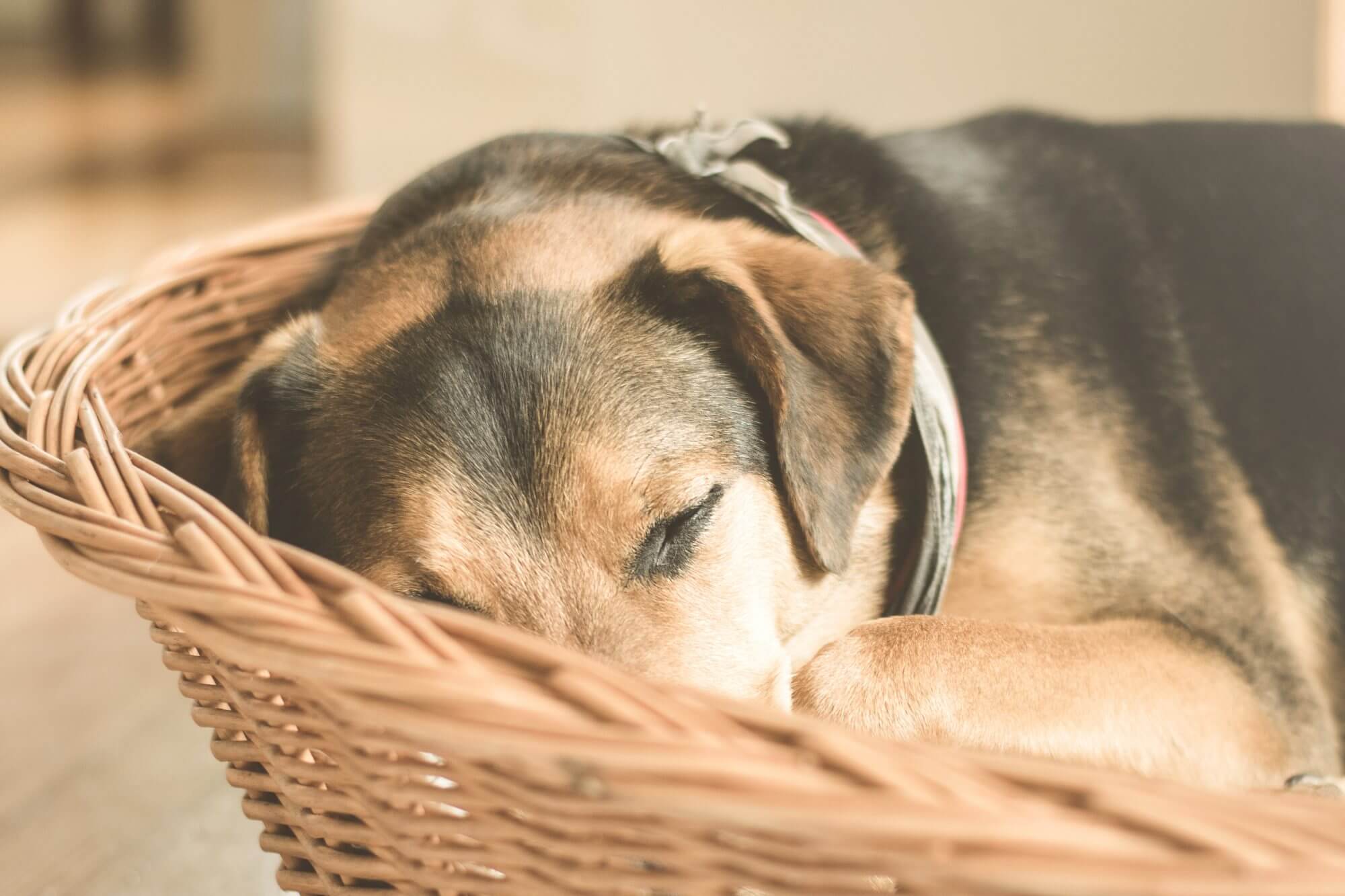 Beat the afternoon slump with these 15 easy strategies!